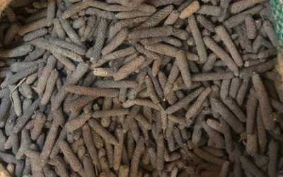 long pepper